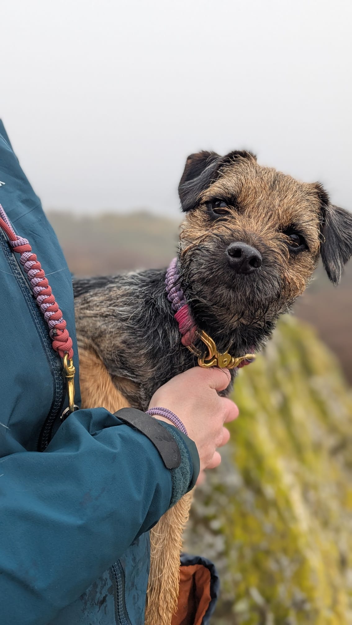 Moorland Rambler - Lanyard