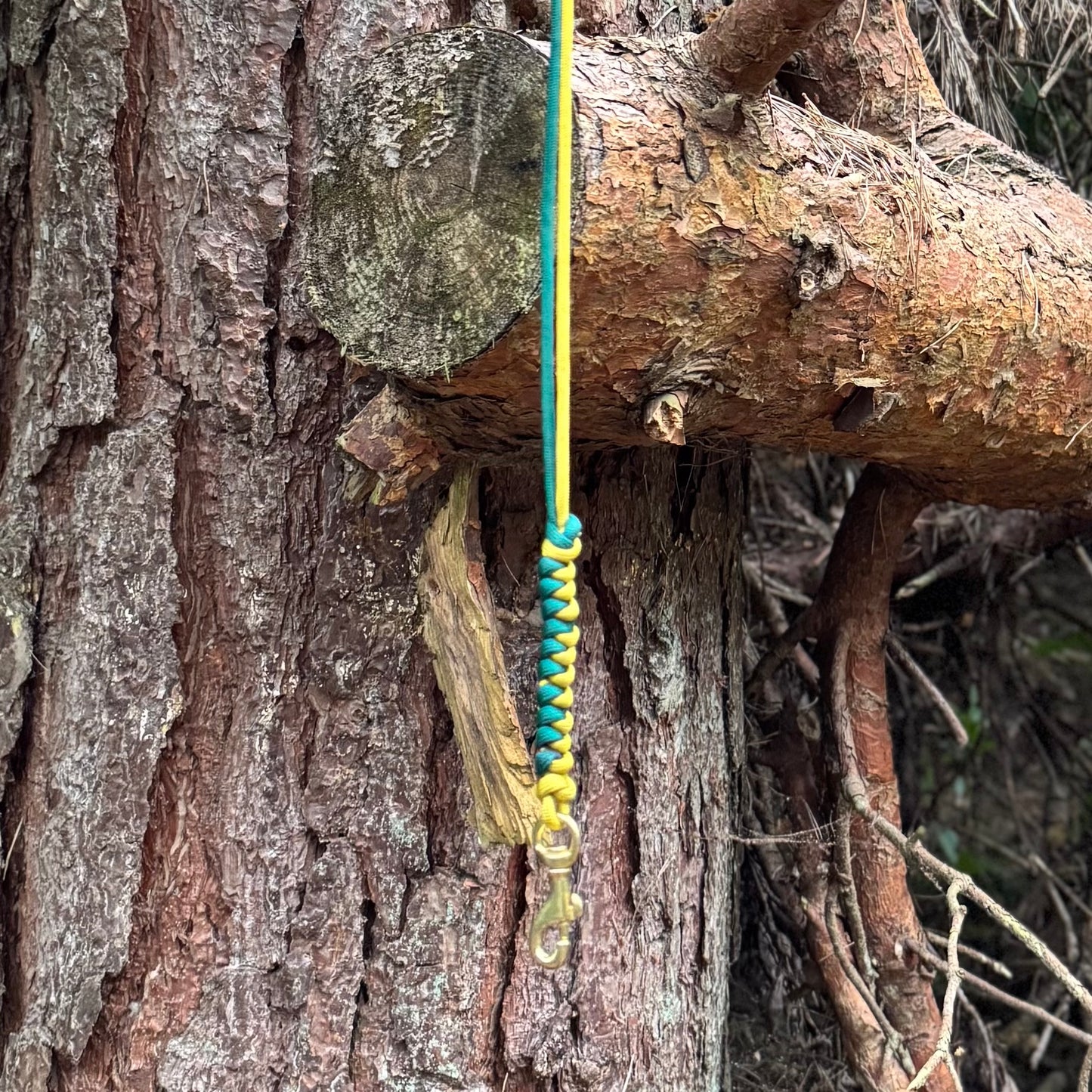 Woodland Explorer - Lanyard