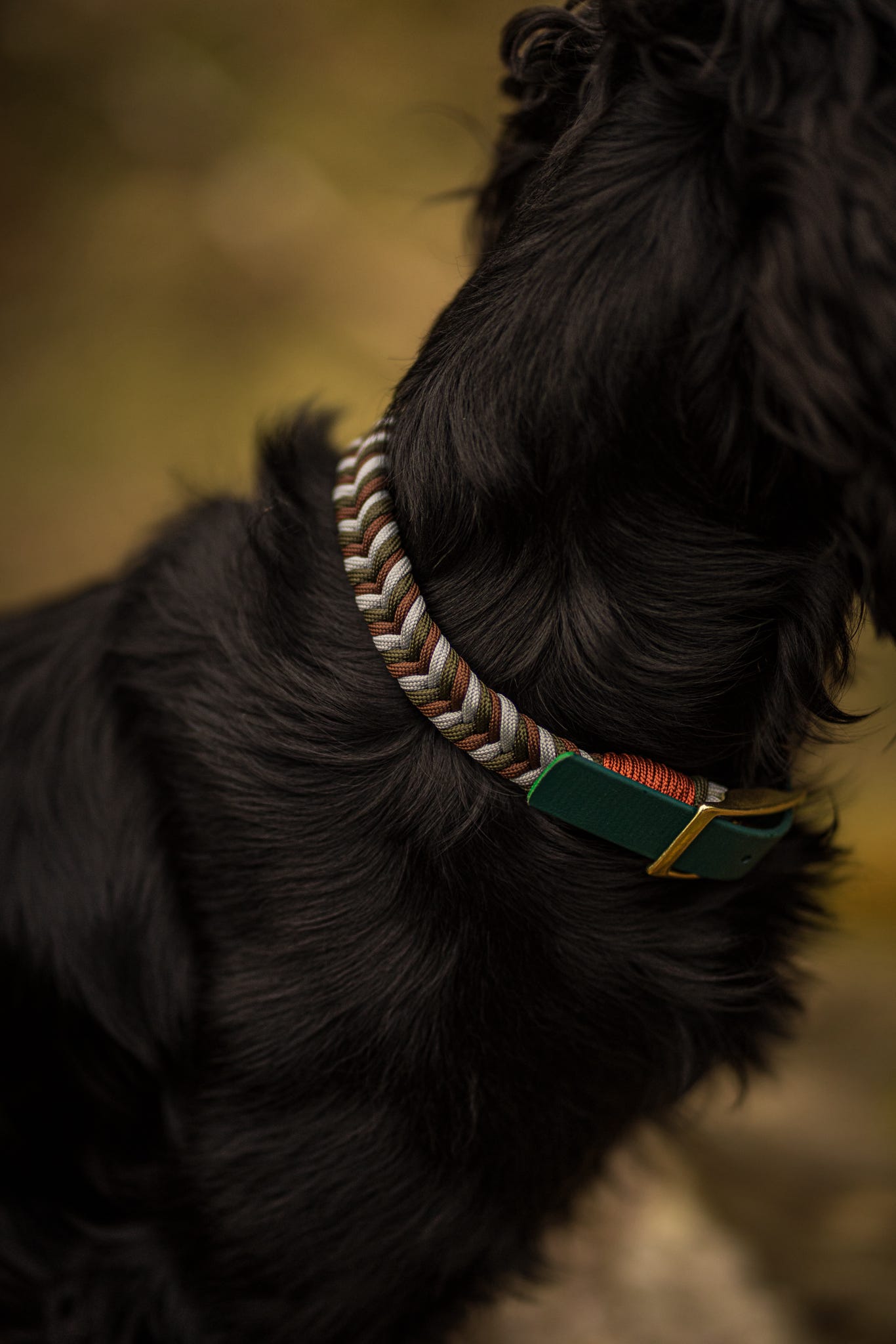 Mountain Climber Collars
