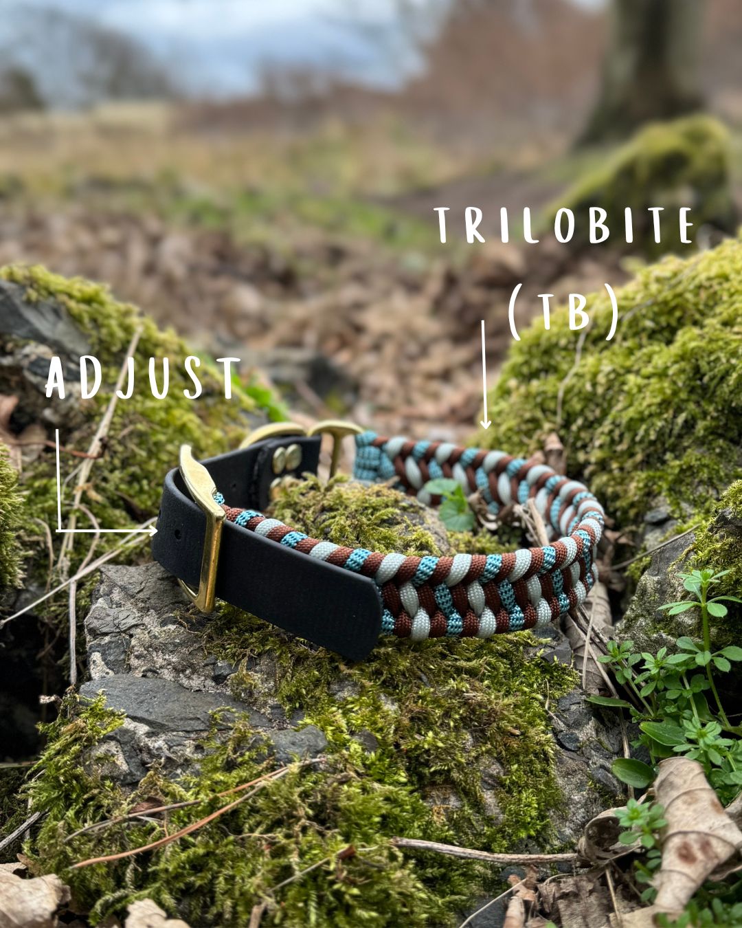 Trail Finder Collars