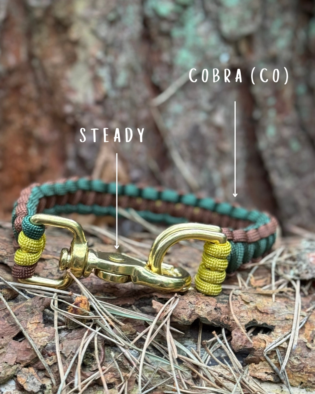 Woodland Explorer Collars