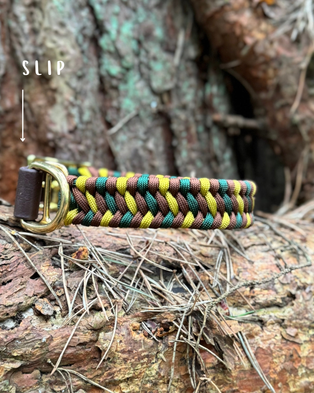Woodland Explorer Collars
