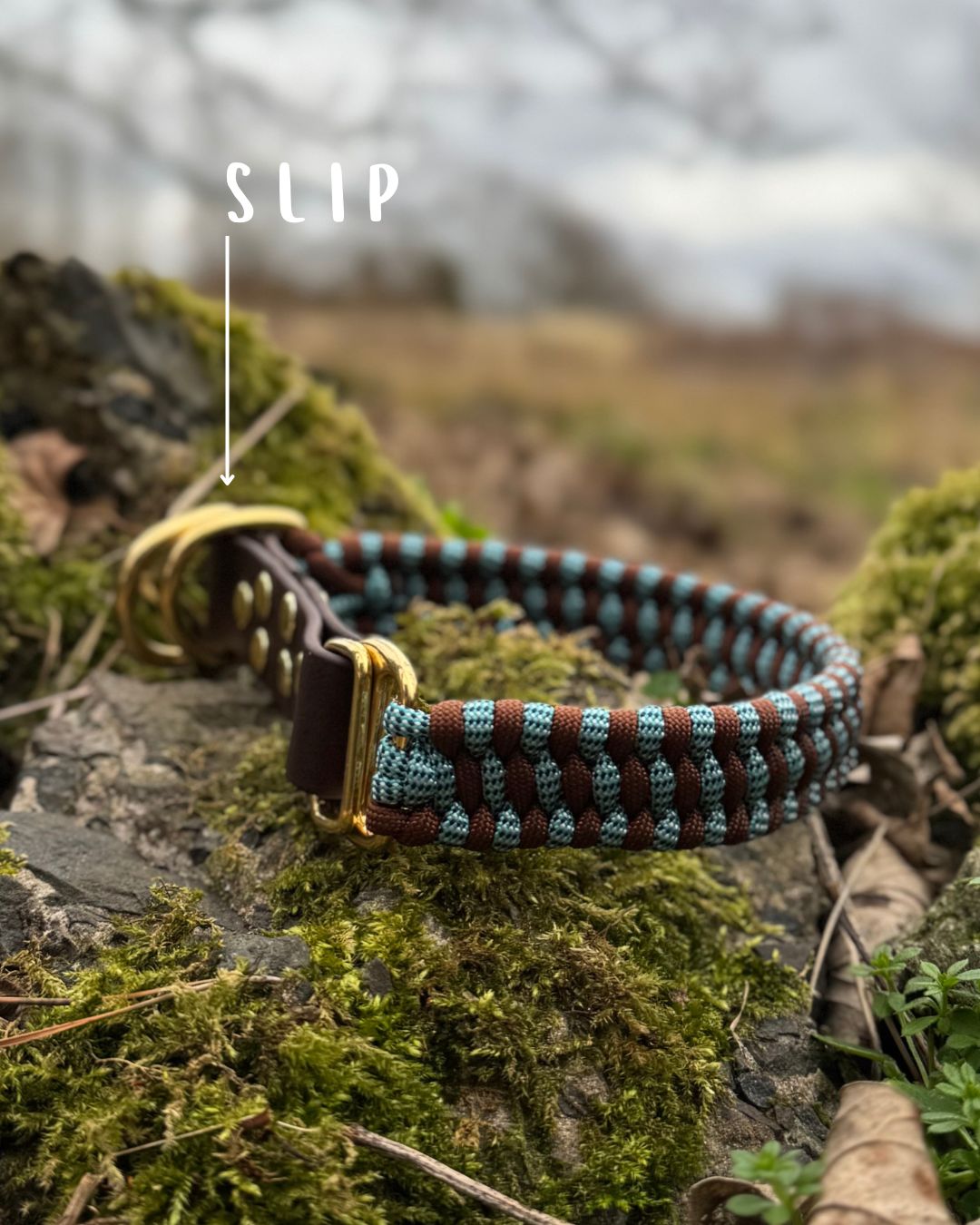 Trail Finder Collars
