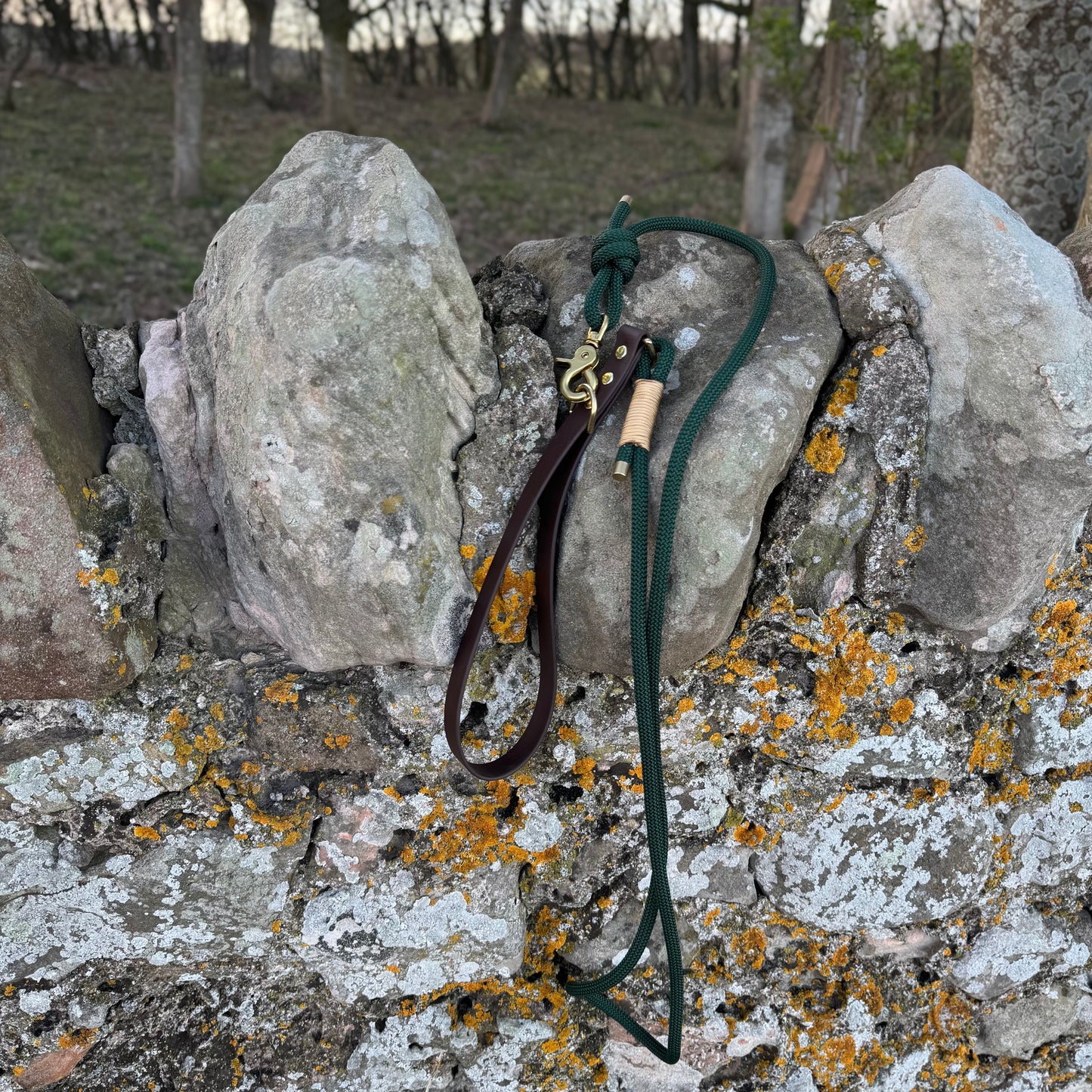 Woodland Explorer Lead