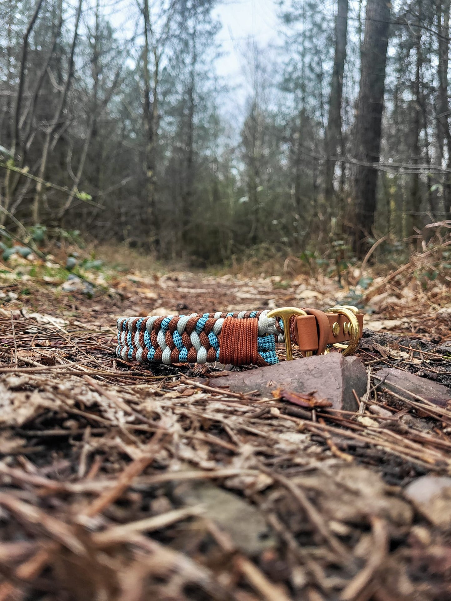 Trail Finder Collars