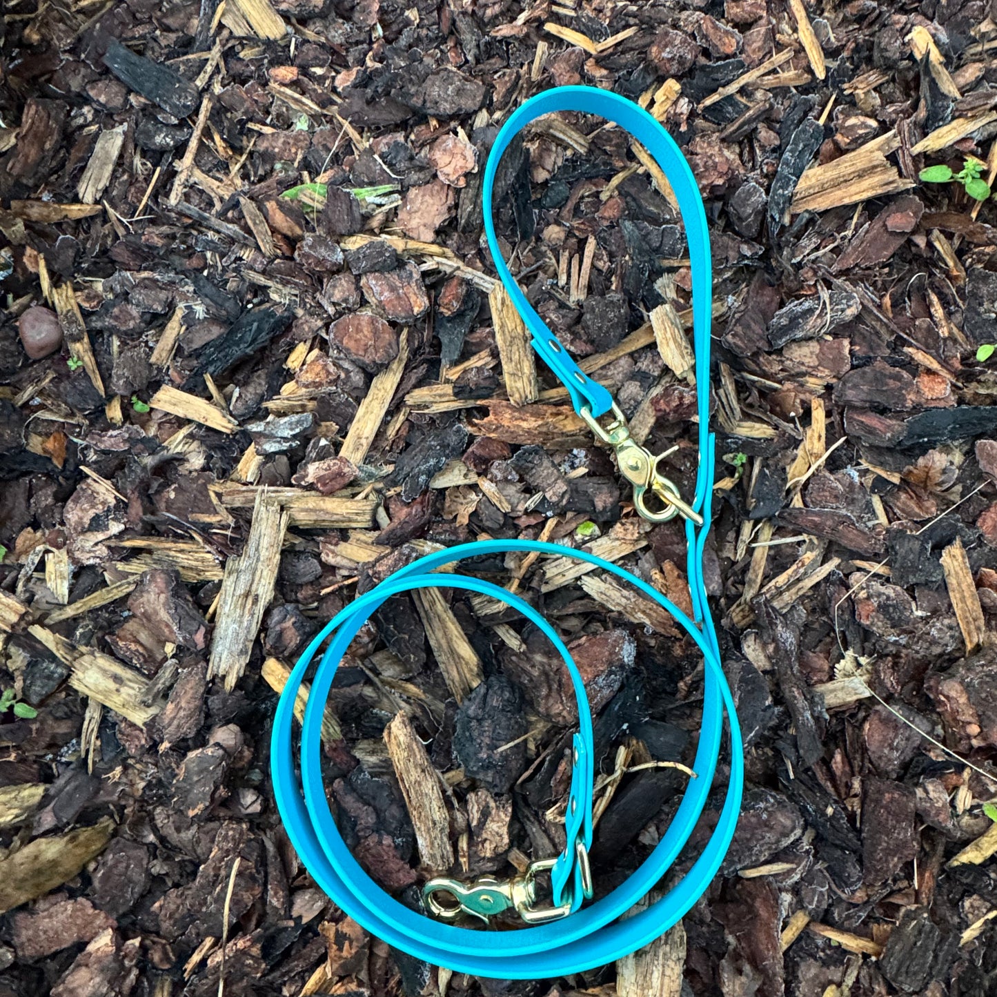 Double Clip Lead - Lagoon