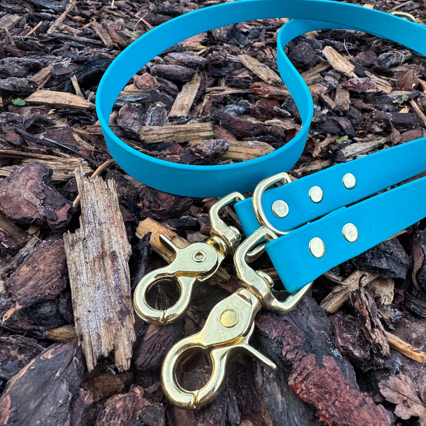 Double Clip Lead - Lagoon