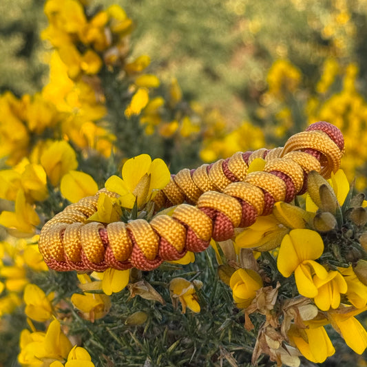 Sun Seeker - Bracelet