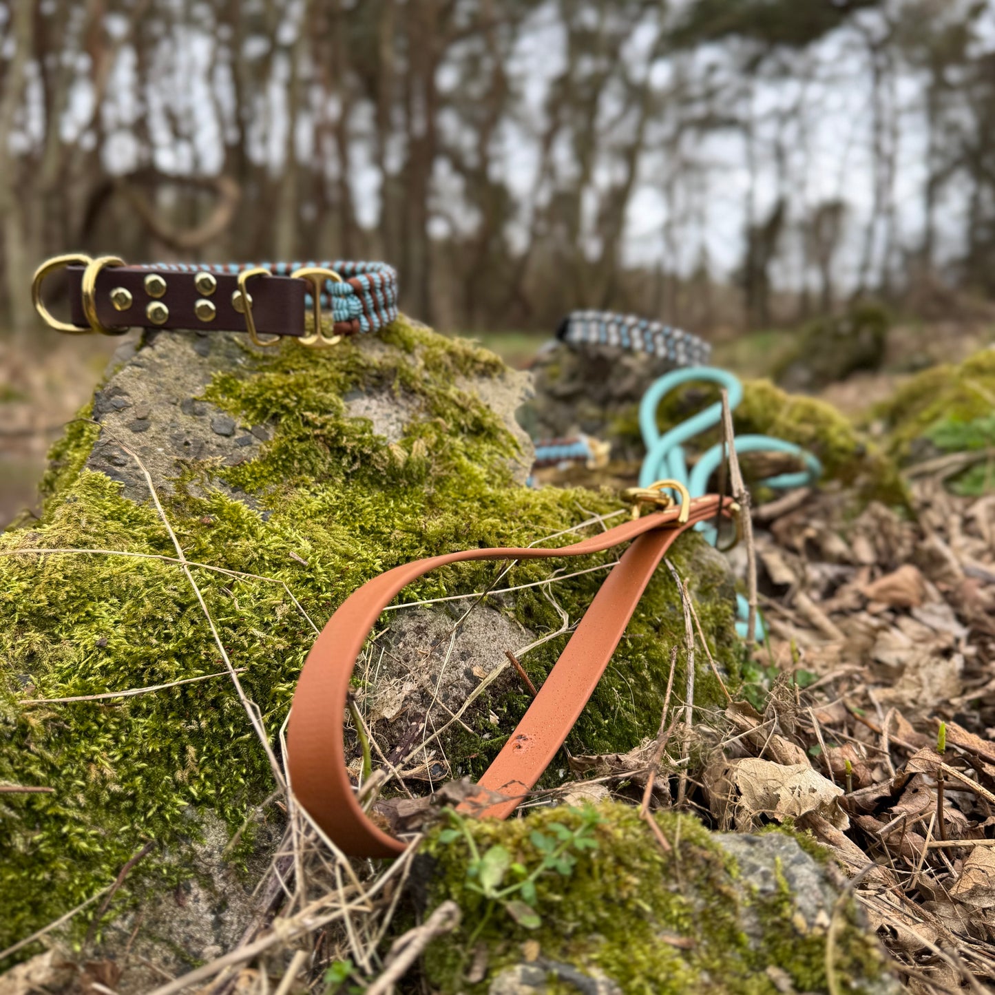 Trail Finder Lead