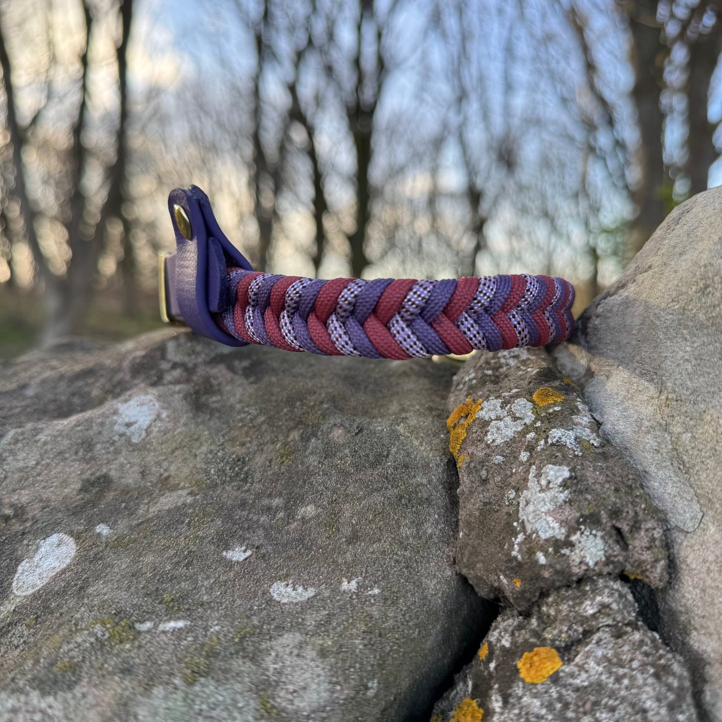 Moorland Rambler Collars